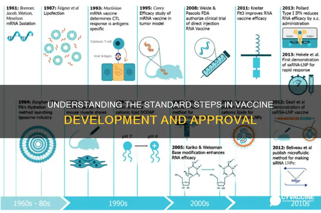 what is the normal process for vaccine development
