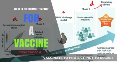 Understanding the Standard Vaccine Development and Approval Timeline