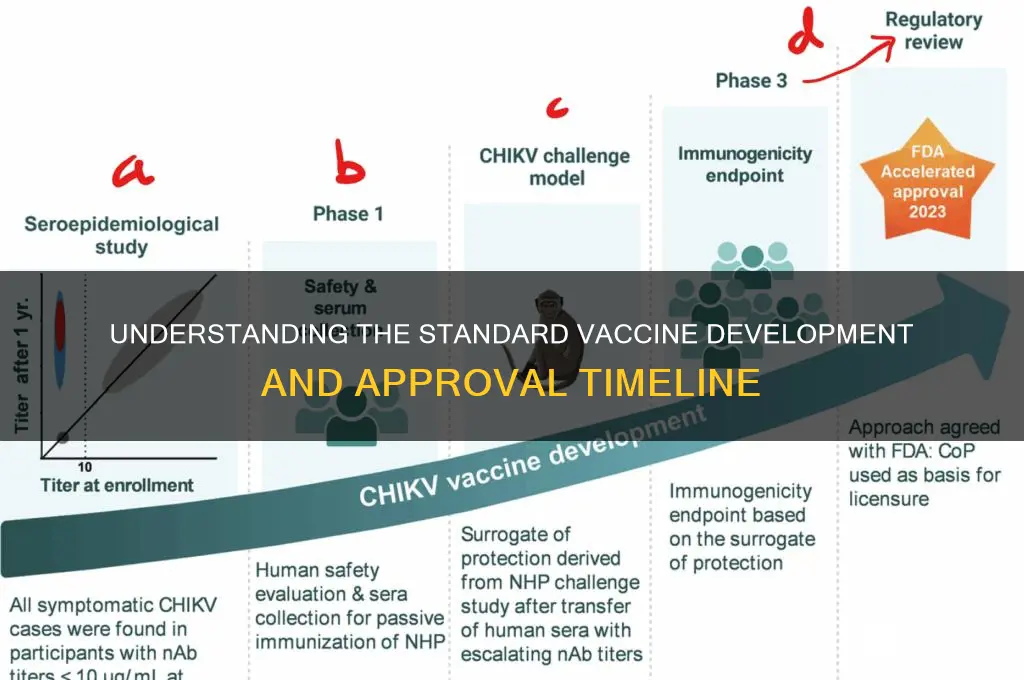what is the normal timeline for a vaccine