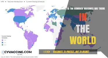 Exploring the Global Count: How Many Vaccines Exist Worldwide?