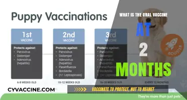 Understanding the Oral Vaccine Administered to Infants at Two Months