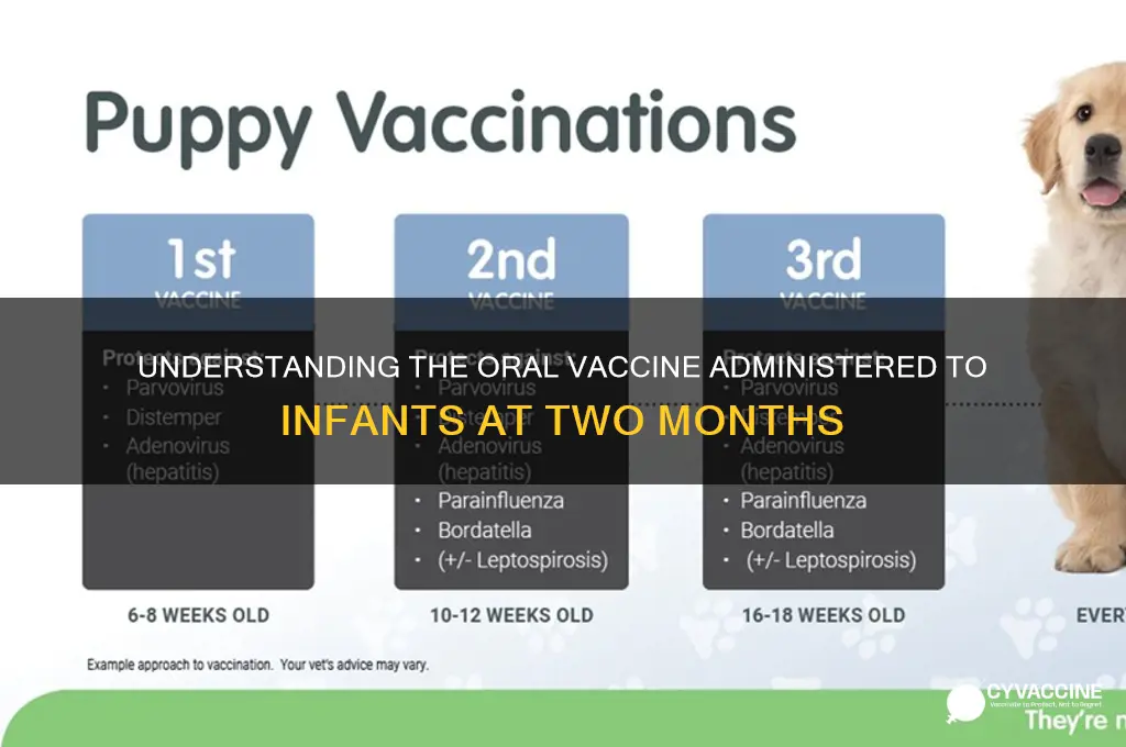 what is the oral vaccine at 2 months