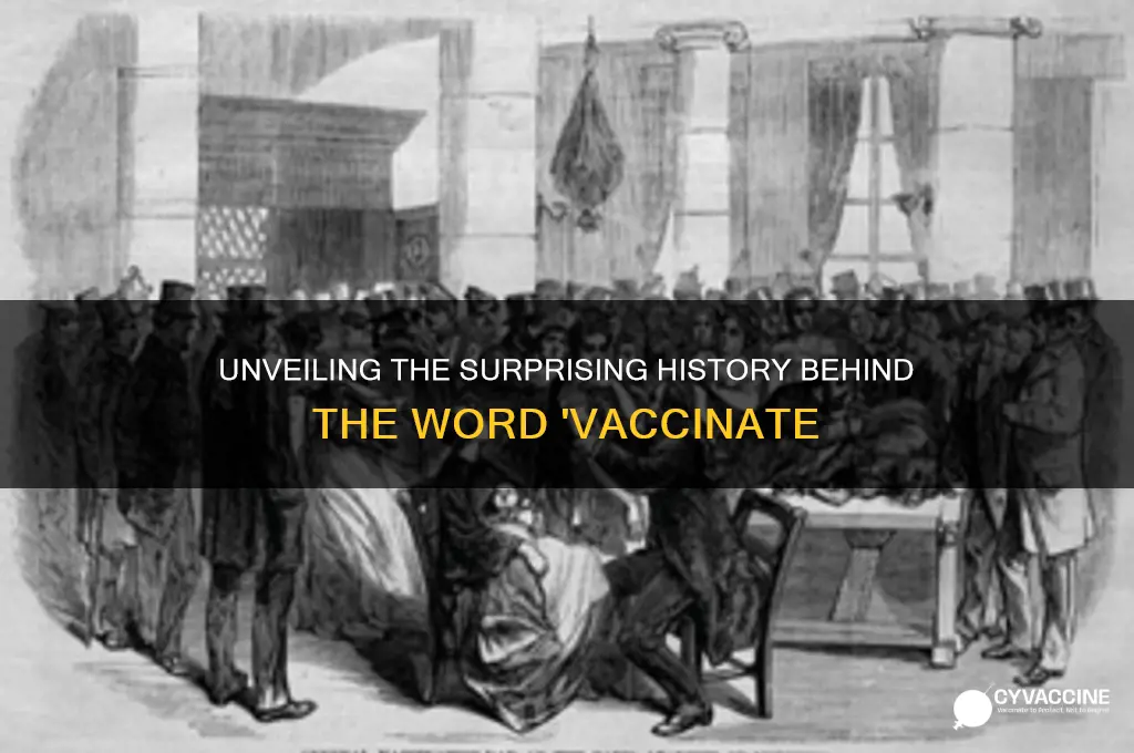 what is the origin of the word vaccinate