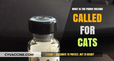 Understanding the Feline Parvovirus Vaccine: What's It Called and Why It's Essential