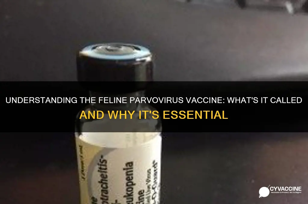 what is the parvo vaccine called for cats