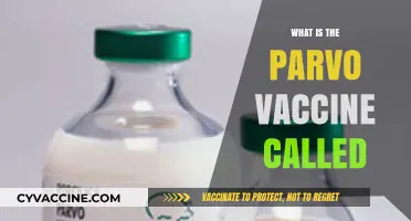 Understanding Canine Parvovirus: The Name of the Parvo Vaccine Explained