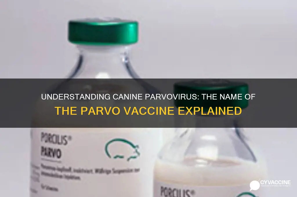 what is the parvo vaccine called
