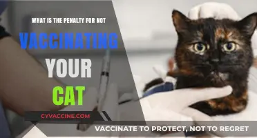 Legal Consequences of Skipping Your Cat's Vaccinations: What You Need to Know