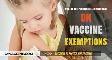 Colorado's Pending Bill: Vaccine Exemptions Under Scrutiny and Debate