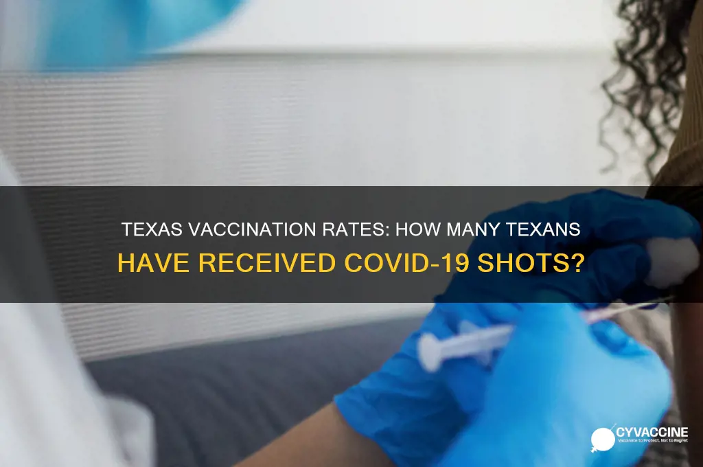 what is the percentage of texans that have been vaccinated