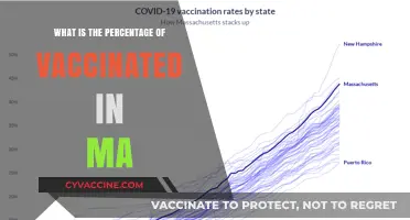 Massachusetts Vaccination Rates: Current Percentage of Vaccinated Residents