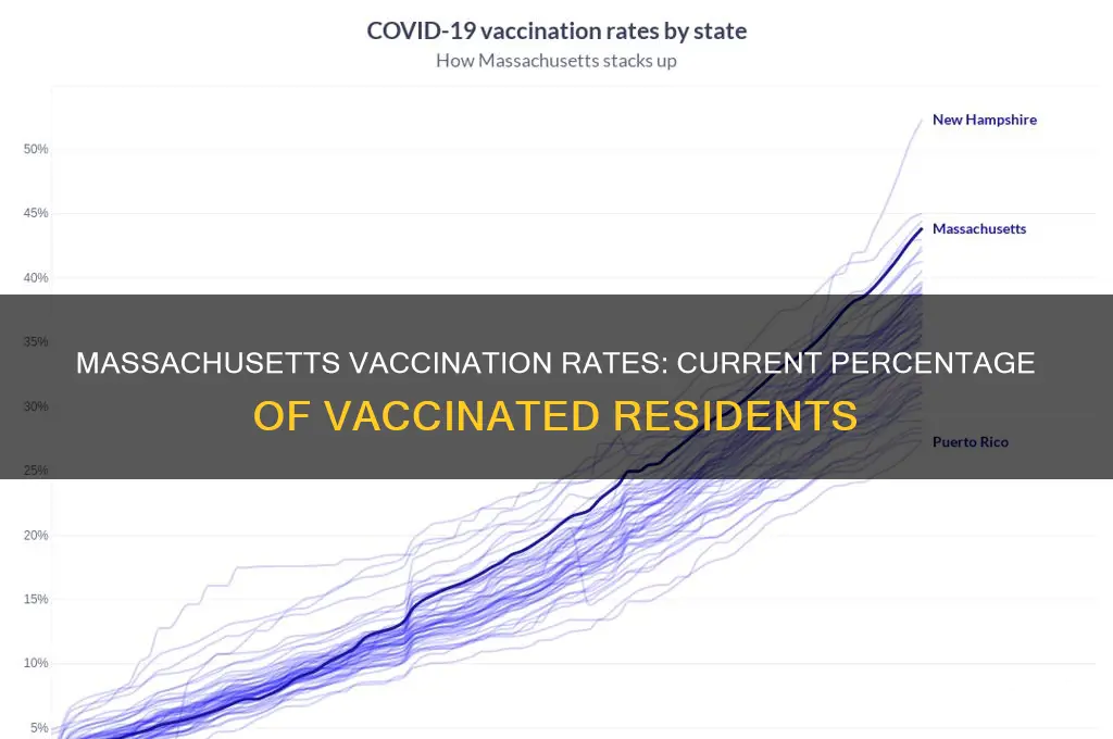 what is the percentage of vaccinated in ma