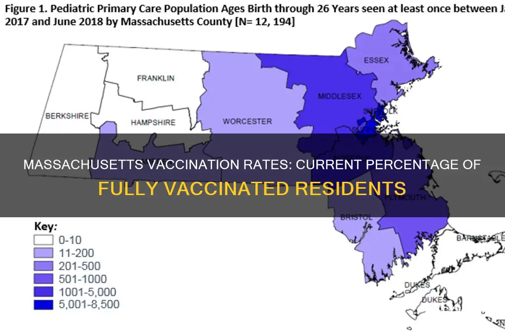 what is the percentage of vaccinated in massachusetts