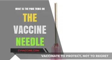 Understanding the Pink Cap on Vaccine Needles: A Simple Explanation