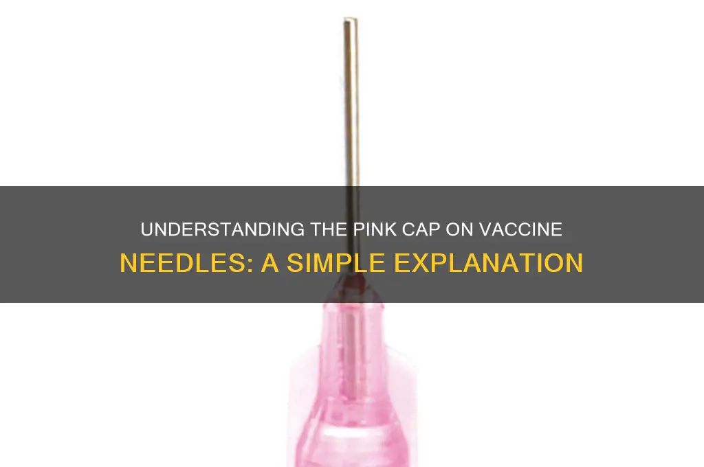 what is the pink thing on the vaccine needle