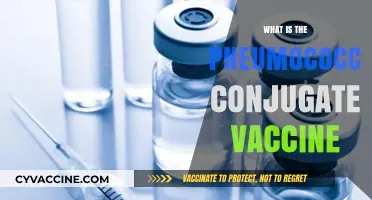 Understanding the Pneumococcal Conjugate Vaccine: Benefits, Uses, and Importance
