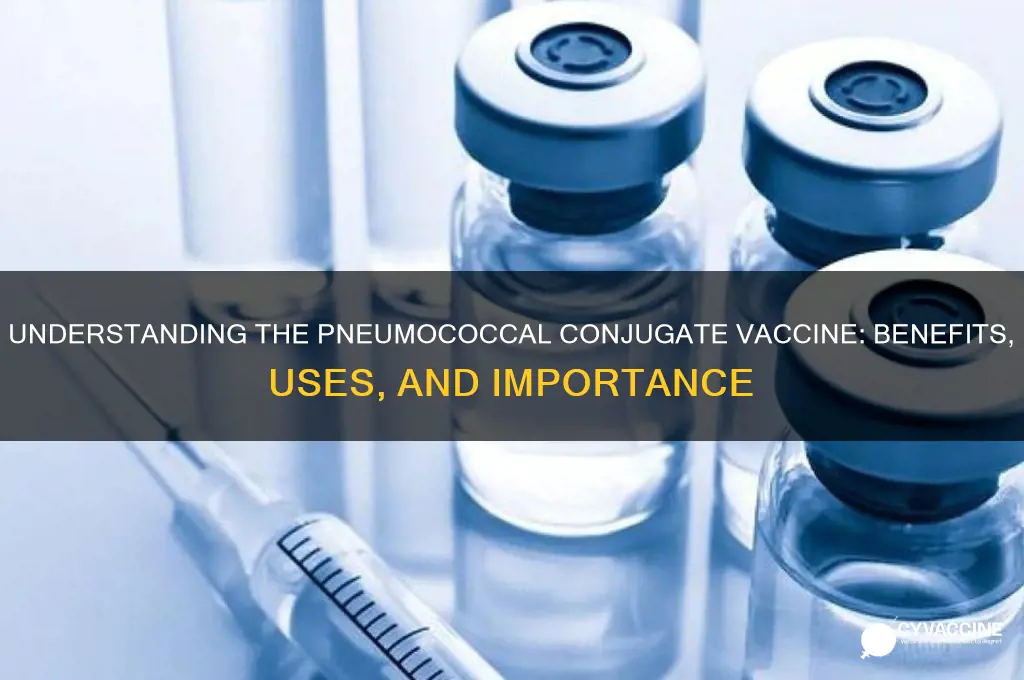 what is the pneumococcal conjugate vaccine