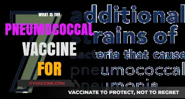 Understanding the Pneumococcal Vaccine: Purpose, Benefits, and Importance