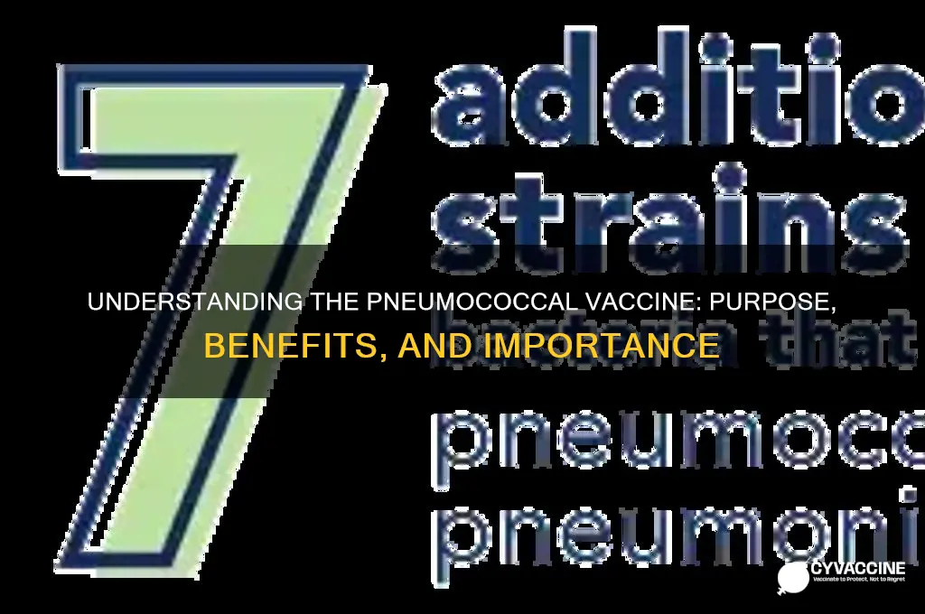 what is the pneumococcal vaccine for