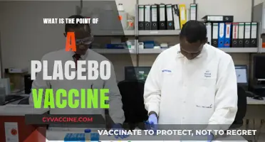 Understanding Placebo Vaccines: Purpose, Ethics, and Scientific Insights
