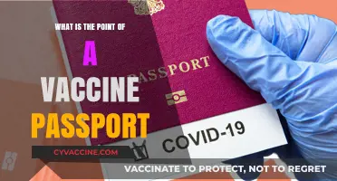 Understanding Vaccine Passports: Purpose, Benefits, and Global Implications