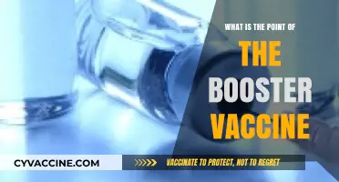 Why Booster Vaccines Matter: Enhancing Immunity and Long-Term Protection