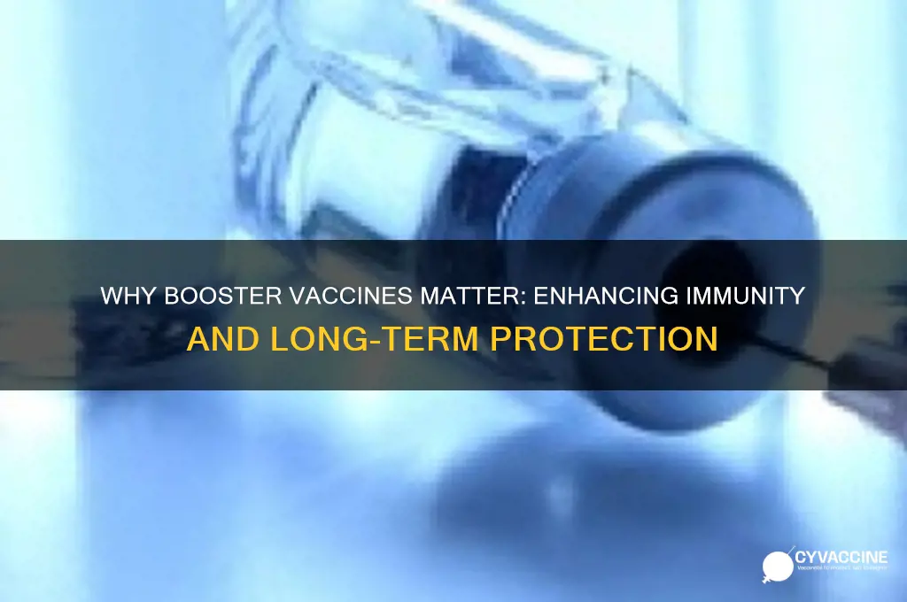 what is the point of the booster vaccine