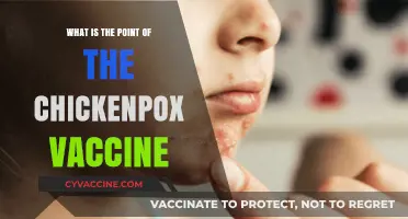 Why Get the Chickenpox Vaccine? Benefits and Importance Explained