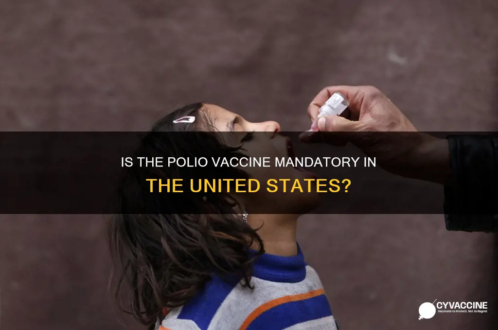 what is the polio vaccine mandatory in the united states