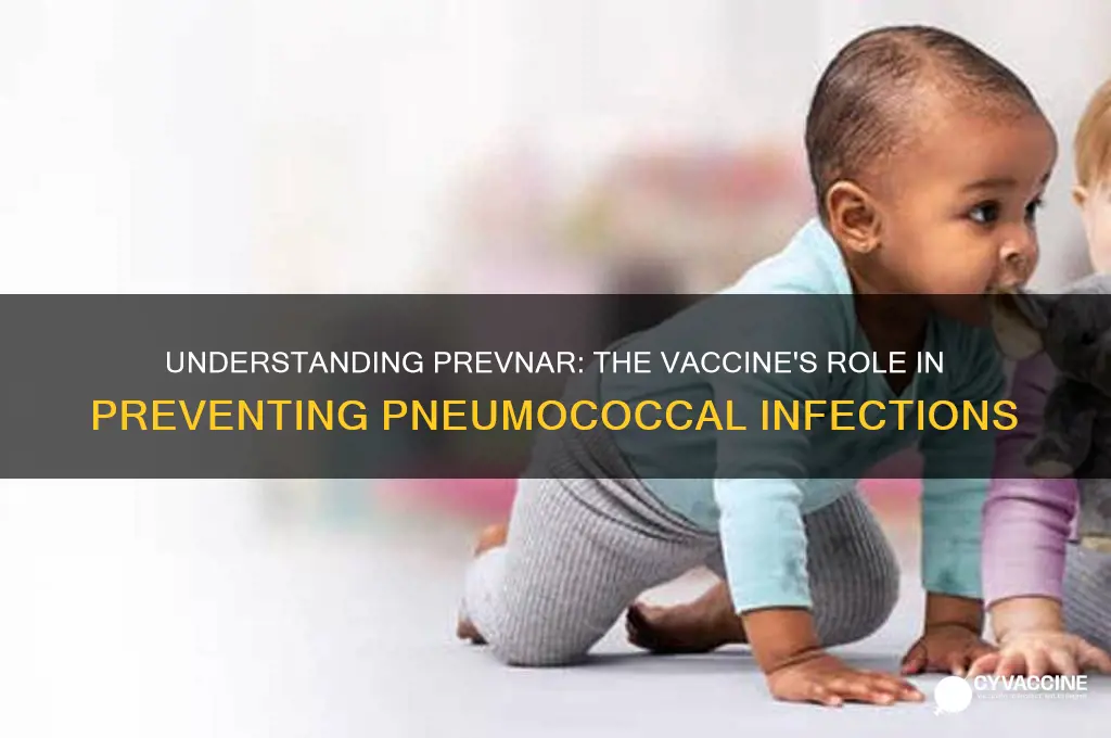 what is the prevnar vaccine for