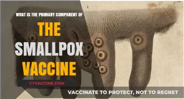 Unveiling the Key Ingredient in the Smallpox Vaccine: A Comprehensive Guide