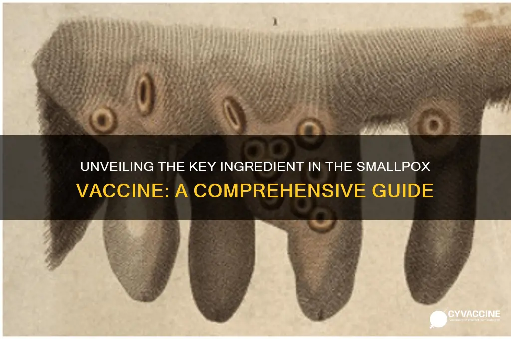what is the primary component of the smallpox vaccine