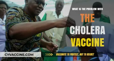 Cholera Vaccine Challenges: Efficacy, Accessibility, and Global Health Concerns