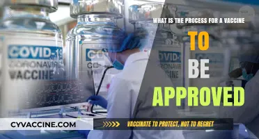 Understanding the Rigorous Steps for Vaccine Approval and Distribution