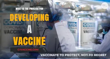 Understanding the Complex Journey of Vaccine Development and Approval