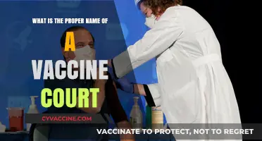 Understanding the Official Name of the Vaccine Injury Compensation Court