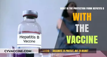Hepatitis B Vaccine: Your Essential Shield Against Viral Liver Infection