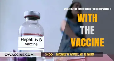 Hepatitis B Vaccine: Your Shield Against the Silent Liver Threat