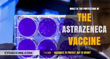 AstraZeneca Vaccine Protection: Understanding Its Efficacy and Safety Measures