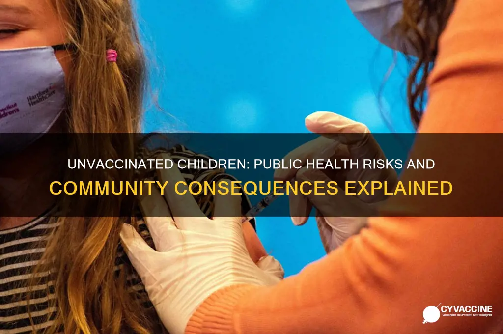 what is the public risk of not vaccinating your child
