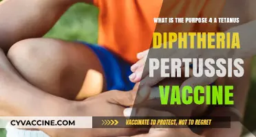 Understanding Tdap: The Purpose of Tetanus, Diphtheria, Pertussis Vaccine