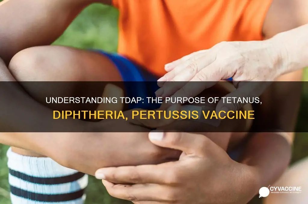 what is the purpose 4 a tetanus diphtheria pertussis vaccine