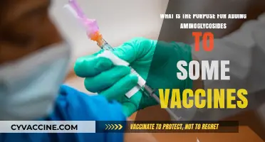 Aminoglycosides in Vaccines: Purpose and Role in Enhancing Immunization