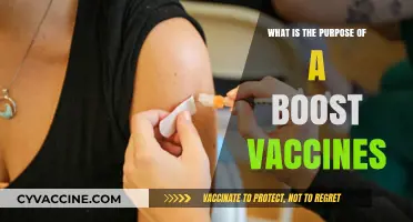Understanding Boost Vaccines: Purpose, Benefits, and Importance in Immunity