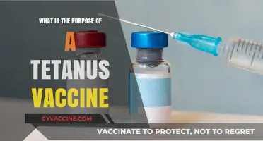 Understanding the Tetanus Vaccine: Purpose, Benefits, and Importance