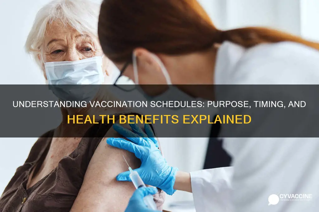 what is the purpose of a vaccination schedule