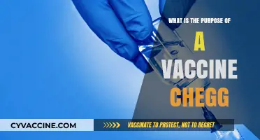 Understanding the Purpose of a Vaccine: A Chegg Guide