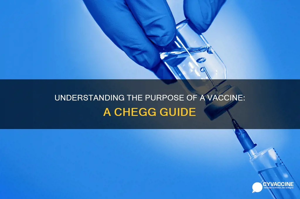 what is the purpose of a vaccine chegg