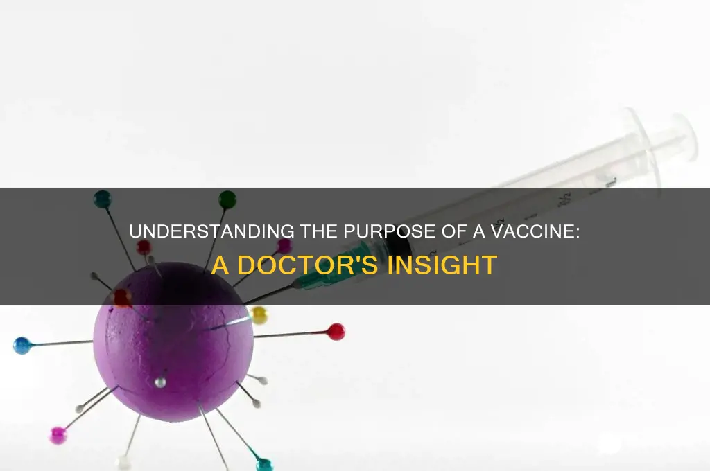 what is the purpose of a vaccine dr