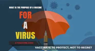 Understanding Vaccines: How They Protect Against Viral Infections